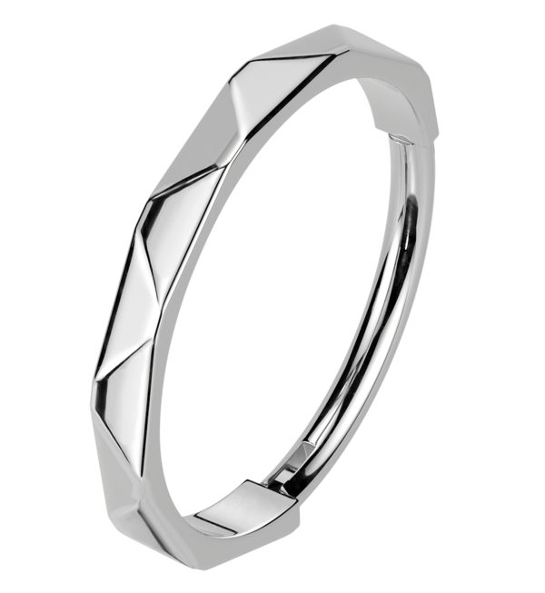 Thin Faceted Titanium Hinged Segment Ring Supply