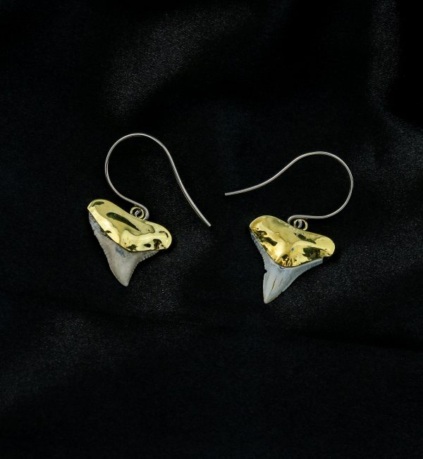 Fossilized Shark Tooth Titanium Dangle Brass Earrings Online Sale - Image 2