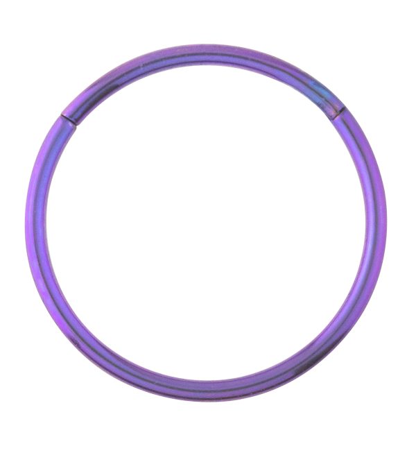 Purple Anodized Titanium Hinged Segment Hoop Ring For Cheap