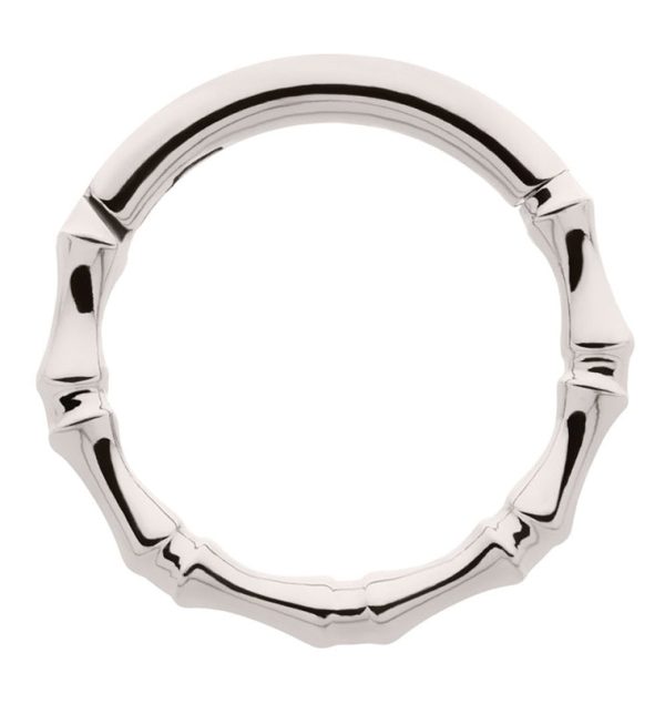 Copula Titanium Hinged Segment Ring Sale
