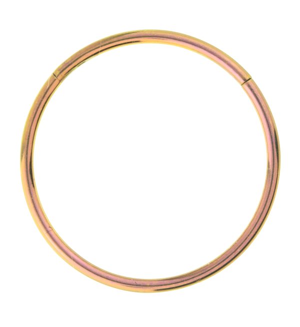 Rose Gold Anodized Titanium Hinged Segment Hoop Ring For Cheap