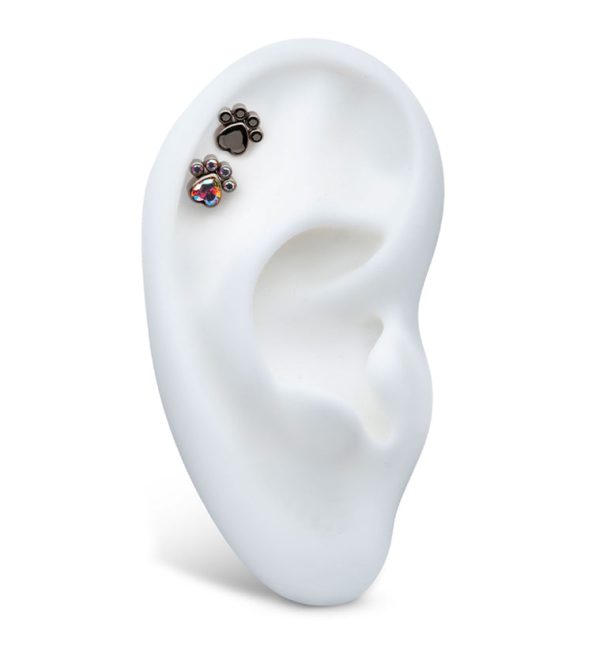 Paw Rainbow Aurora CZ Titanium Internally Threaded Top Sale - Image 3